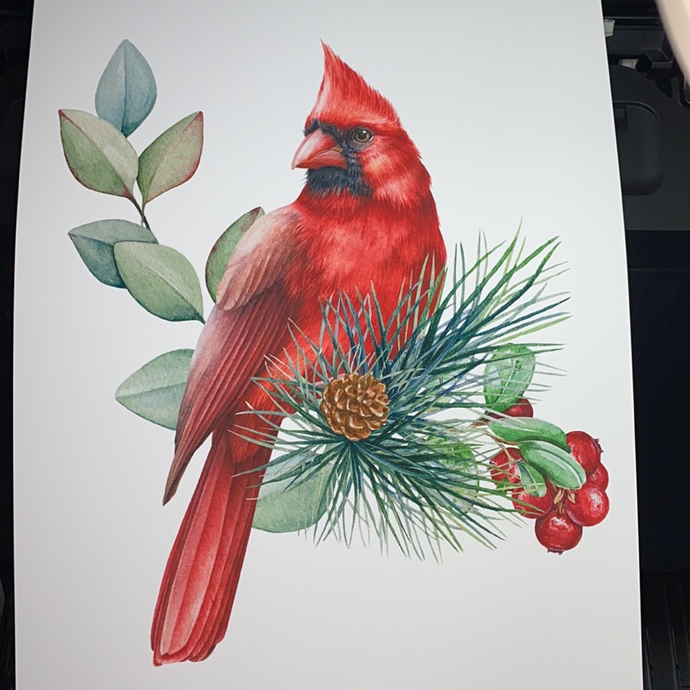 Watercolor Red Cardinal Wall Art Illustration Print Poster Unframed - Picture 5 of 14